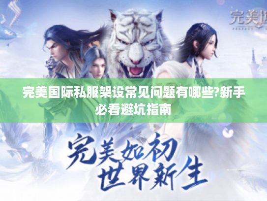 完美国际私服架设常见问题有哪些?新手必看避坑指南
