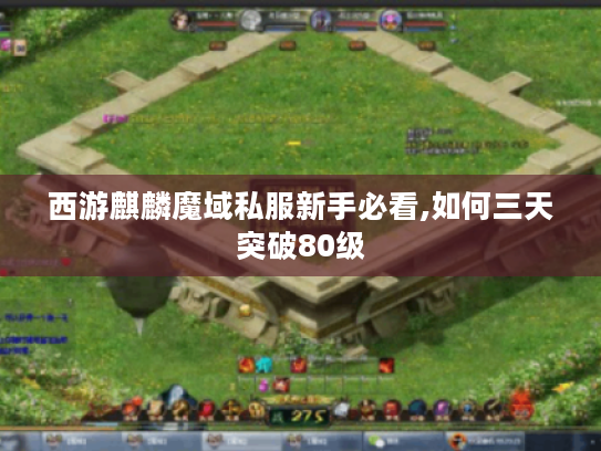 西游麒麟魔域私服新手必看,如何三天突破80级