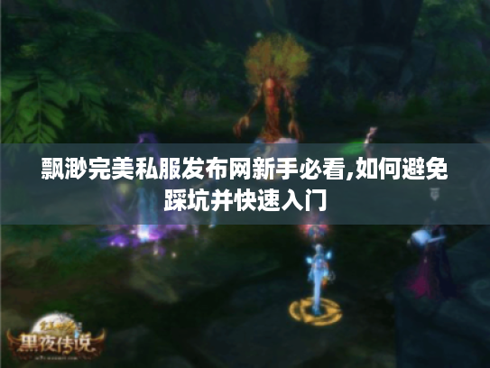 飘渺完美私服发布网新手必看,如何避免踩坑并快速入门
