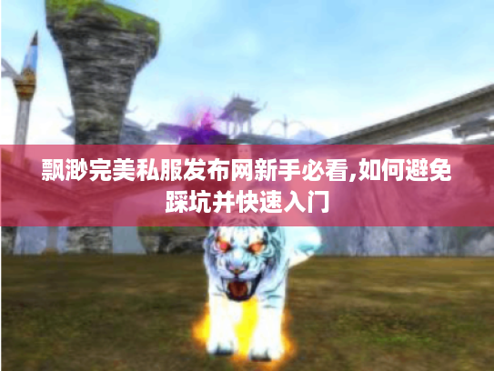 飘渺完美私服发布网新手必看,如何避免踩坑并快速入门