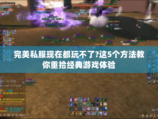 完美私服现在都玩不了?这5个方法教你重拾经典游戏体验