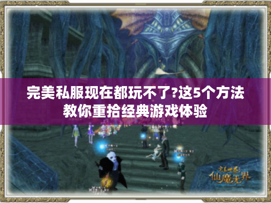 完美私服现在都玩不了?这5个方法教你重拾经典游戏体验