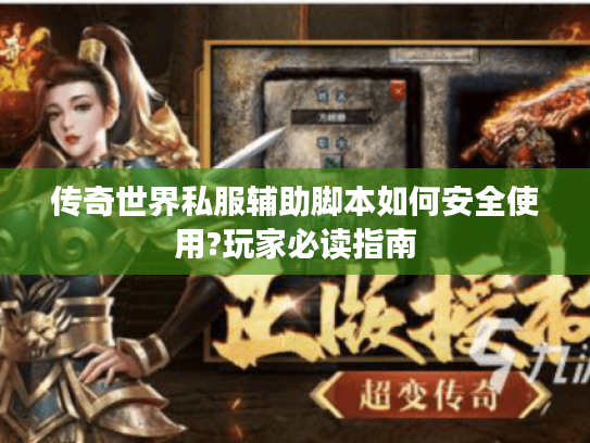 传奇世界私服辅助脚本如何安全使用?玩家必读指南