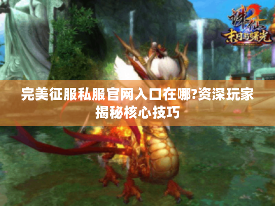 完美征服私服官网入口在哪?资深玩家揭秘核心技巧