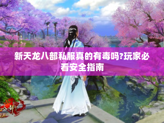 新天龙八部私服真的有毒吗?玩家必看安全指南