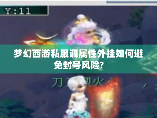 梦幻西游私服调属性外挂如何避免封号风险?