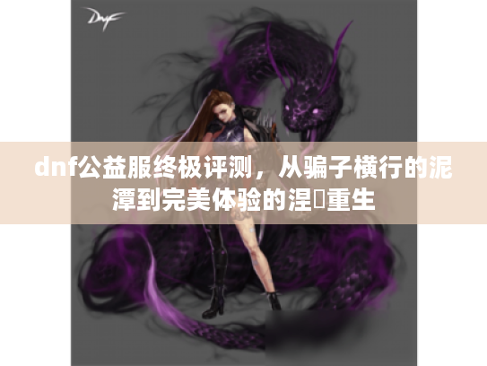 dnf公益服终极评测，从骗子横行的泥潭到完美体验的涅槃重生