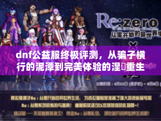 dnf公益服终极评测，从骗子横行的泥潭到完美体验的涅槃重生