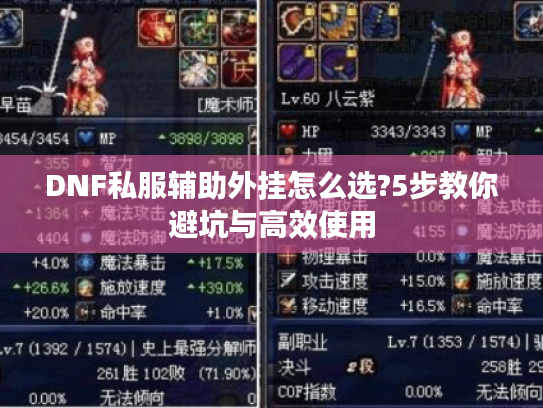 DNF私服辅助外挂怎么选?5步教你避坑与高效使用