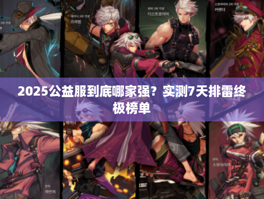 2025公益服到底哪家强？实测7天排雷终极榜单