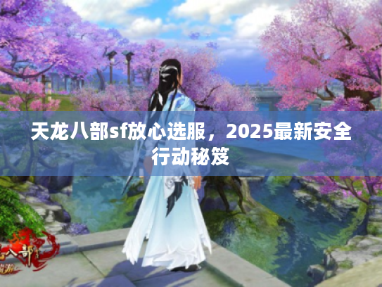 天龙八部sf放心选服，2025最新安全行动秘笈