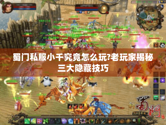 蜀门私服小千究竟怎么玩?老玩家揭秘三大隐藏技巧