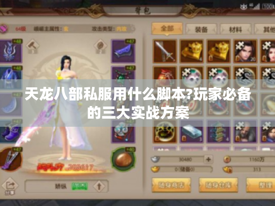 天龙八部私服用什么脚本?玩家必备的三大实战方案