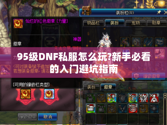 95级DNF私服怎么玩?新手必看的入门避坑指南