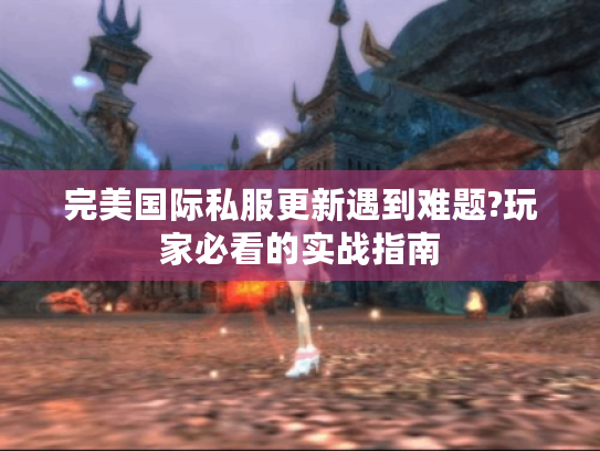 完美国际私服更新遇到难题?玩家必看的实战指南