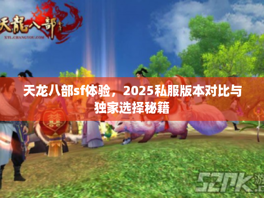 天龙八部sf体验，2025私服版本对比与独家选择秘籍