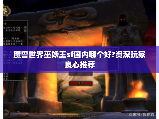 魔兽世界巫妖王sf国内哪个好?资深玩家良心推荐