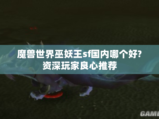 魔兽世界巫妖王sf国内哪个好?资深玩家良心推荐