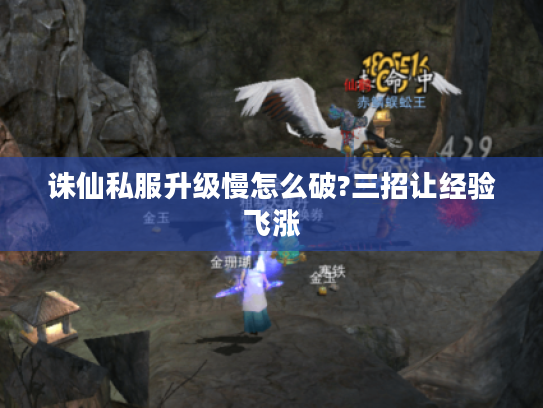 诛仙私服升级慢怎么破?三招让经验飞涨