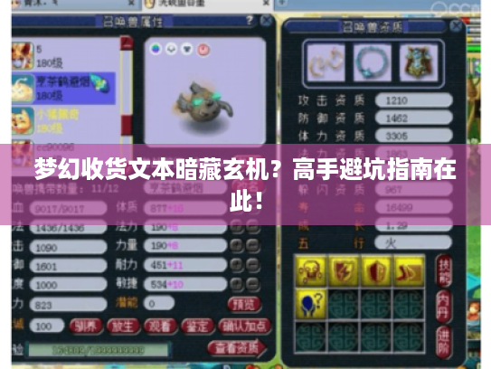 梦幻收货文本暗藏玄机？高手避坑指南在此！