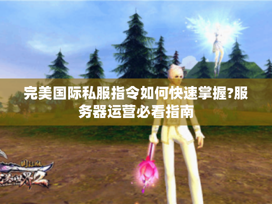完美国际私服指令如何快速掌握?服务器运营必看指南