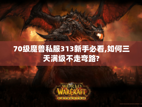70级魔兽私服313新手必看,如何三天满级不走弯路?