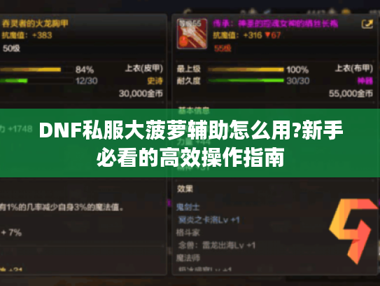 DNF私服大菠萝辅助怎么用?新手必看的高效操作指南