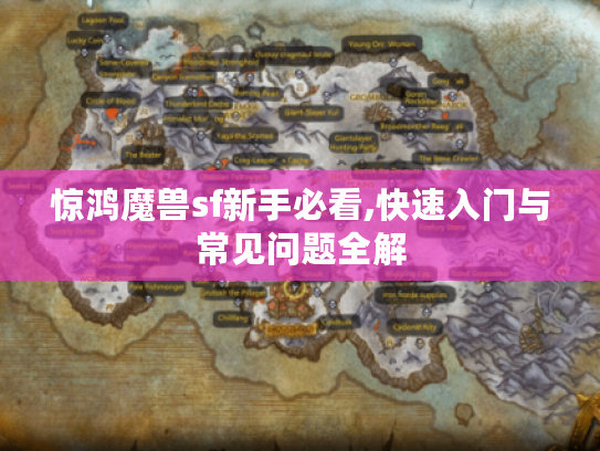 惊鸿魔兽sf新手必看,快速入门与常见问题全解