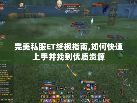 完美私服ET终极指南,如何快速上手并找到优质资源