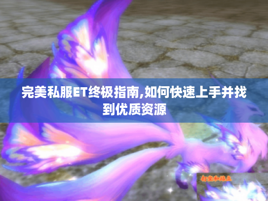 完美私服ET终极指南,如何快速上手并找到优质资源