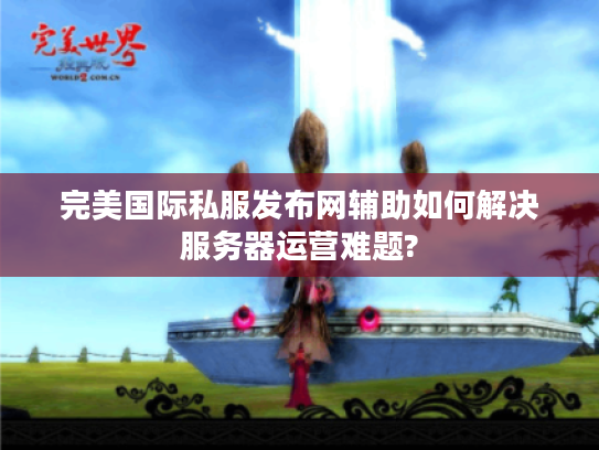 完美国际私服发布网辅助如何解决服务器运营难题?