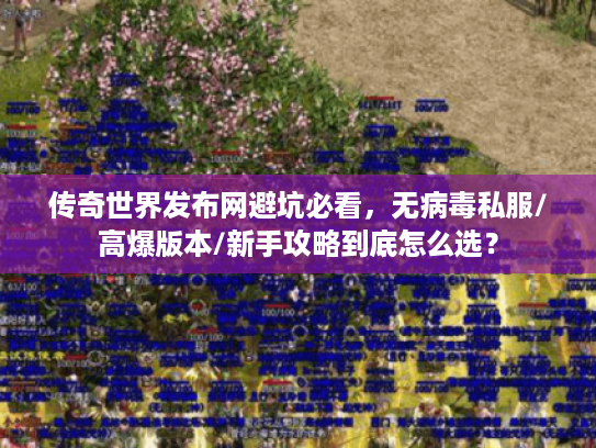 传奇世界发布网避坑必看，无病毒私服/高爆版本/新手攻略到底怎么选？