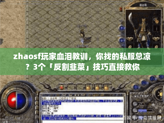 zhaosf玩家血泪教训，你找的私服总凉？3个「反割韭菜」技巧直接救你