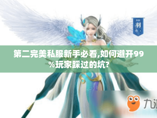 第二完美私服新手必看,如何避开99%玩家踩过的坑?