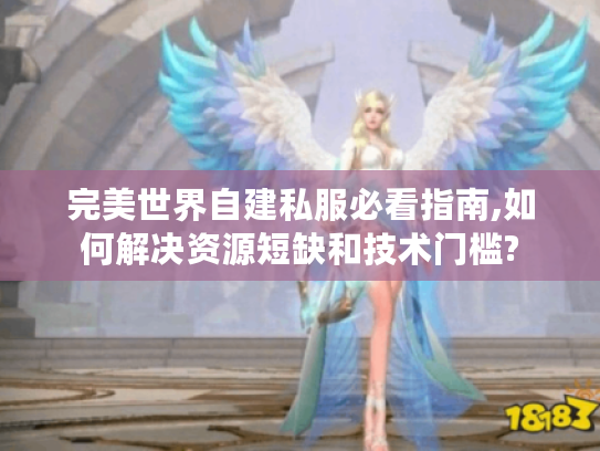 完美世界自建私服必看指南,如何解决资源短缺和技术门槛?