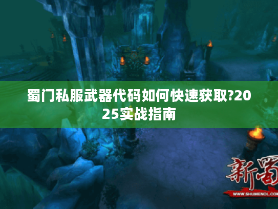 蜀门私服武器代码如何快速获取?2025实战指南