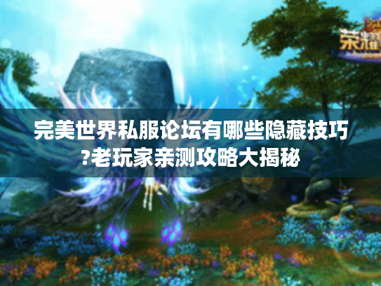 完美世界私服论坛有哪些隐藏技巧?老玩家亲测攻略大揭秘