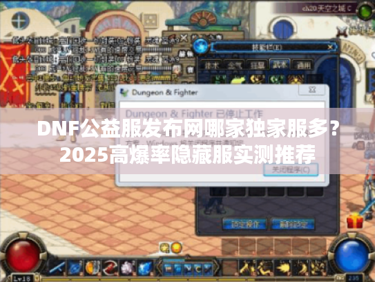 DNF公益服发布网哪家独家服多？2025高爆率隐藏服实测推荐