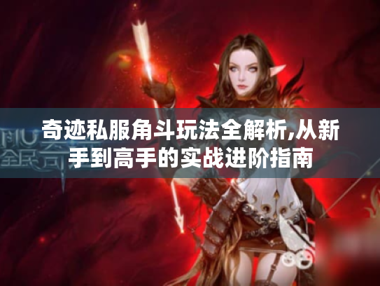 奇迹私服角斗玩法全解析,从新手到高手的实战进阶指南
