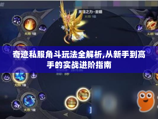 奇迹私服角斗玩法全解析,从新手到高手的实战进阶指南