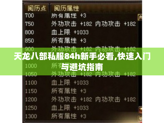 天龙八部私服84h新手必看,快速入门与避坑指南