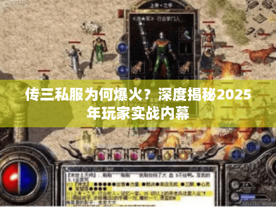 传三私服为何爆火？深度揭秘2025年玩家实战内幕