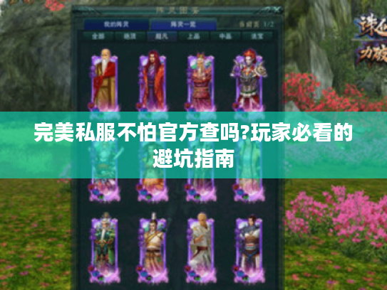 完美私服不怕官方查吗?玩家必看的避坑指南
