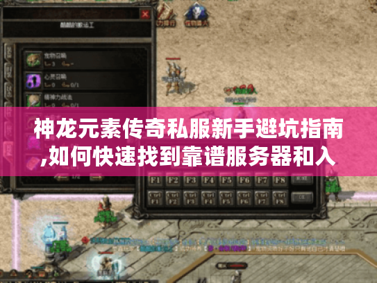 神龙元素传奇私服新手避坑指南,如何快速找到靠谱服务器和入门资源
