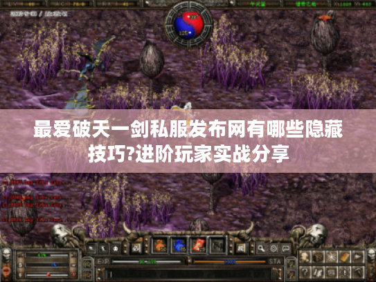 最爱破天一剑私服发布网有哪些隐藏技巧?进阶玩家实战分享