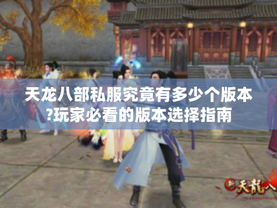 天龙八部私服究竟有多少个版本?玩家必看的版本选择指南