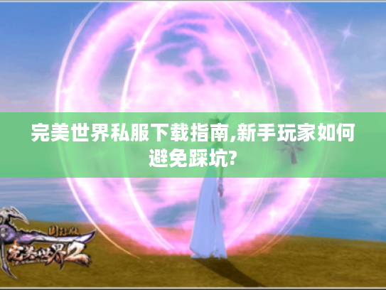 完美世界私服下载指南,新手玩家如何避免踩坑?