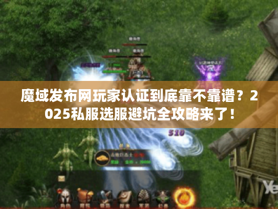 魔域发布网玩家认证到底靠不靠谱？2025私服选服避坑全攻略来了！