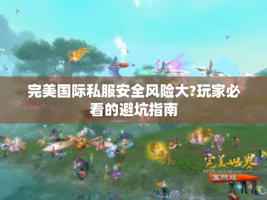 完美国际私服安全风险大?玩家必看的避坑指南
