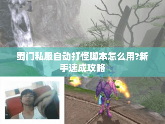 蜀门私服自动打怪脚本怎么用?新手速成攻略
